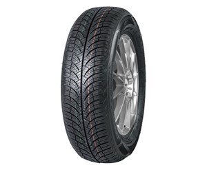 Fronway Fronwing A/S 205/60 R16 96V XL